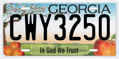 GA license plate CWY3250