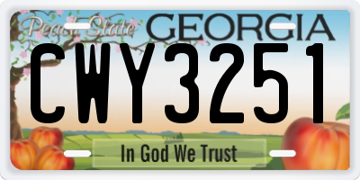 GA license plate CWY3251