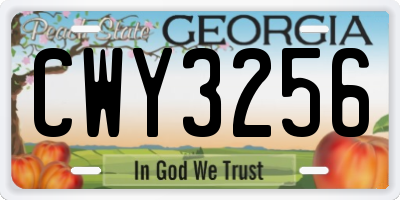 GA license plate CWY3256