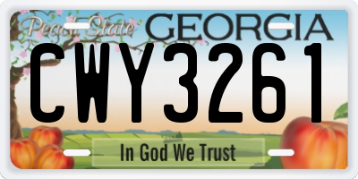 GA license plate CWY3261