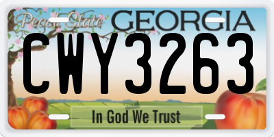 GA license plate CWY3263