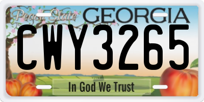 GA license plate CWY3265