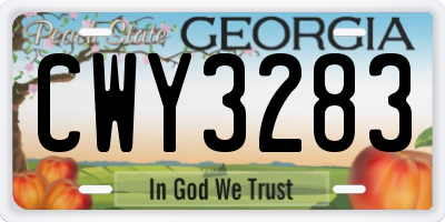 GA license plate CWY3283