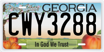 GA license plate CWY3288