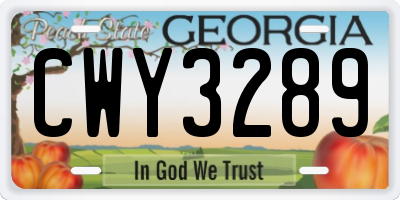 GA license plate CWY3289