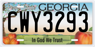 GA license plate CWY3293