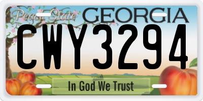 GA license plate CWY3294