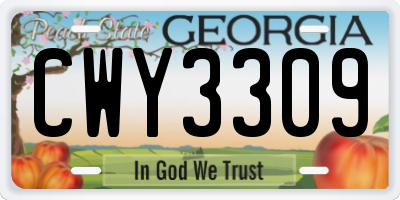 GA license plate CWY3309