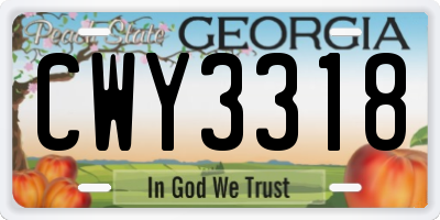 GA license plate CWY3318