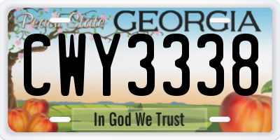 GA license plate CWY3338