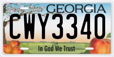 GA license plate CWY3340