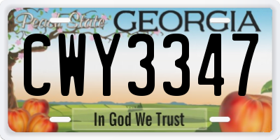 GA license plate CWY3347