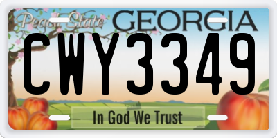 GA license plate CWY3349