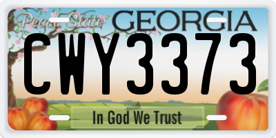 GA license plate CWY3373