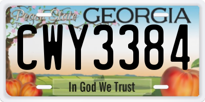 GA license plate CWY3384