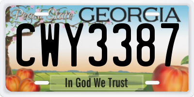 GA license plate CWY3387