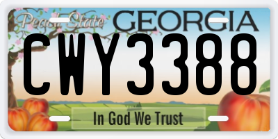GA license plate CWY3388