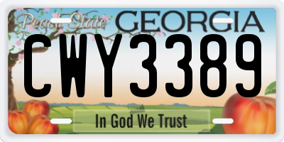 GA license plate CWY3389