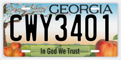 GA license plate CWY3401