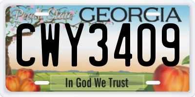 GA license plate CWY3409