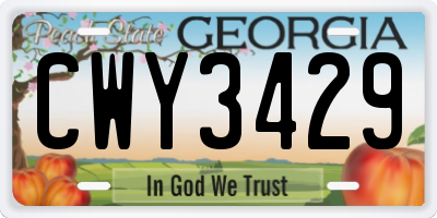 GA license plate CWY3429