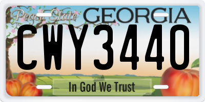 GA license plate CWY3440