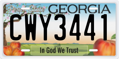 GA license plate CWY3441