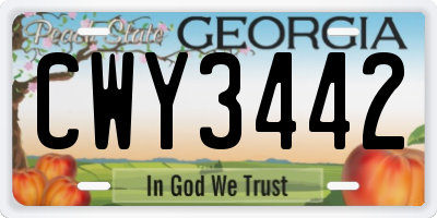 GA license plate CWY3442