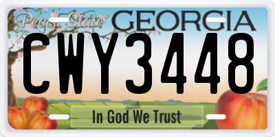 GA license plate CWY3448