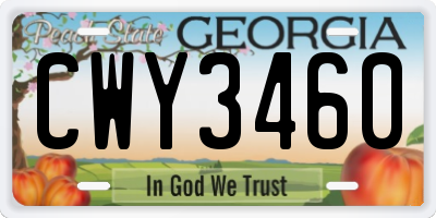 GA license plate CWY3460