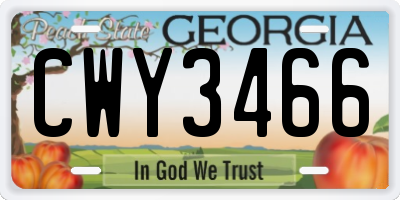 GA license plate CWY3466