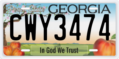 GA license plate CWY3474