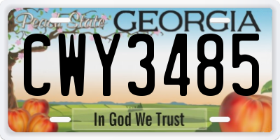 GA license plate CWY3485