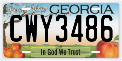 GA license plate CWY3486