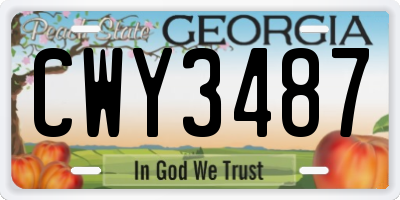 GA license plate CWY3487