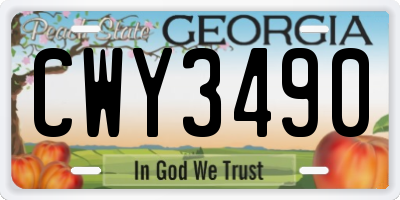 GA license plate CWY3490