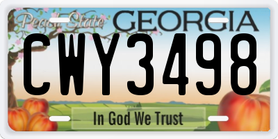 GA license plate CWY3498