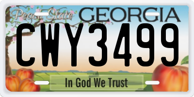 GA license plate CWY3499