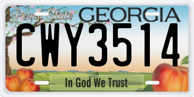 GA license plate CWY3514