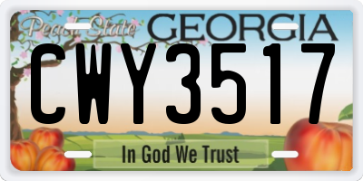 GA license plate CWY3517