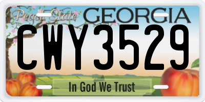 GA license plate CWY3529