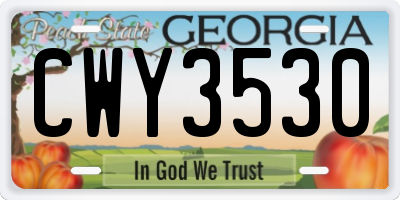 GA license plate CWY3530