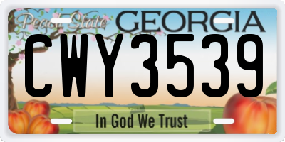 GA license plate CWY3539