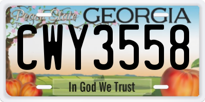 GA license plate CWY3558