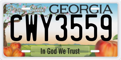GA license plate CWY3559