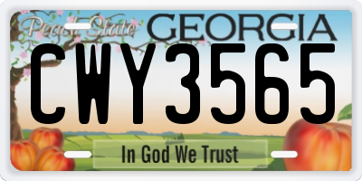 GA license plate CWY3565