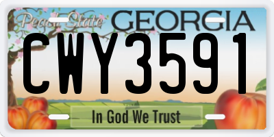 GA license plate CWY3591