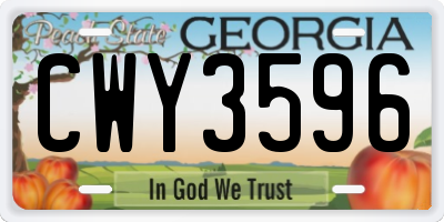 GA license plate CWY3596