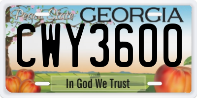 GA license plate CWY3600