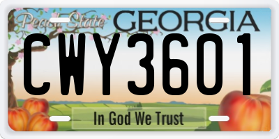 GA license plate CWY3601